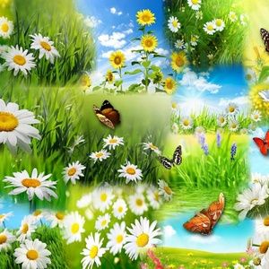 Meet your Posher, Wakeisha